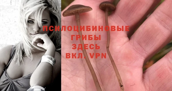 гашиш Алексеевка