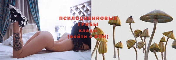 дурь Медвежьегорск