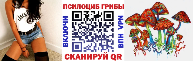 наркота  Томмот  Галлюциногенные грибы мицелий 